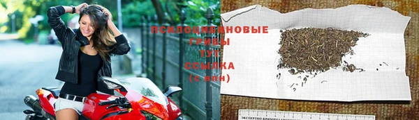 стафф Костерёво