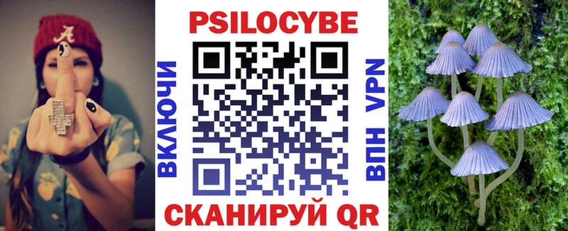 Галлюциногенные грибы Cubensis  Купить закладки  Кинешма 